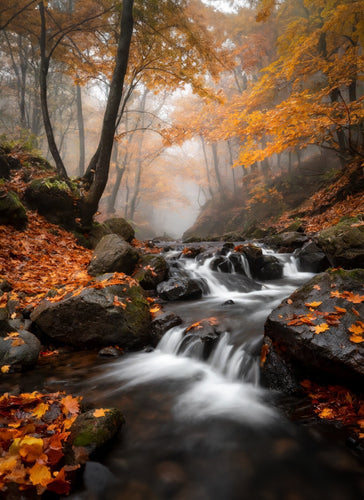 Long Exposure Fall Stream