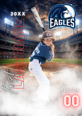 Baseball Cards