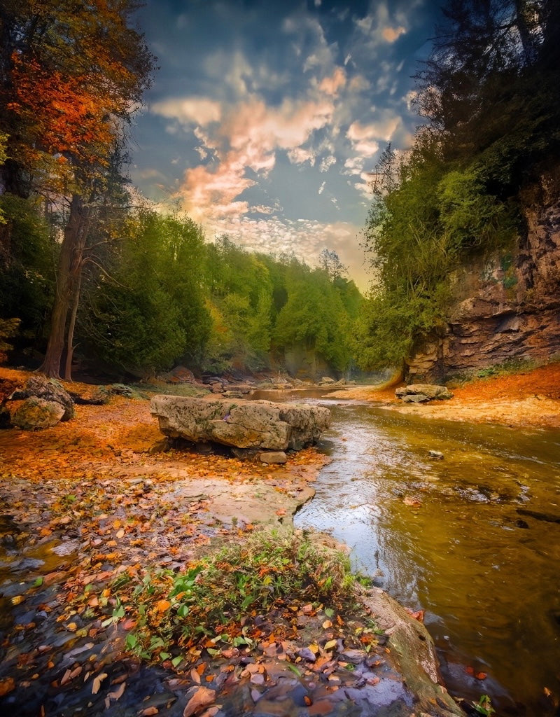 Elora Gorge in the Fall