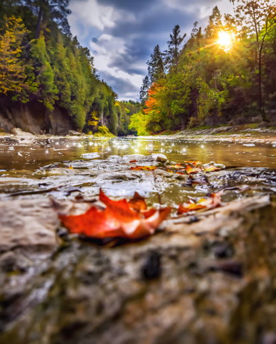 Elora Gorge