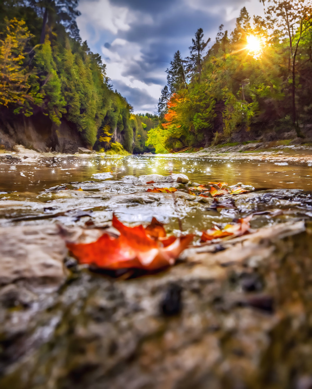 Elora Gorge