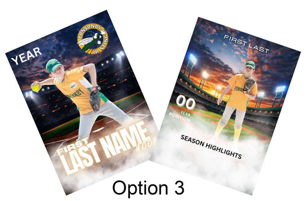 Baseball Cards