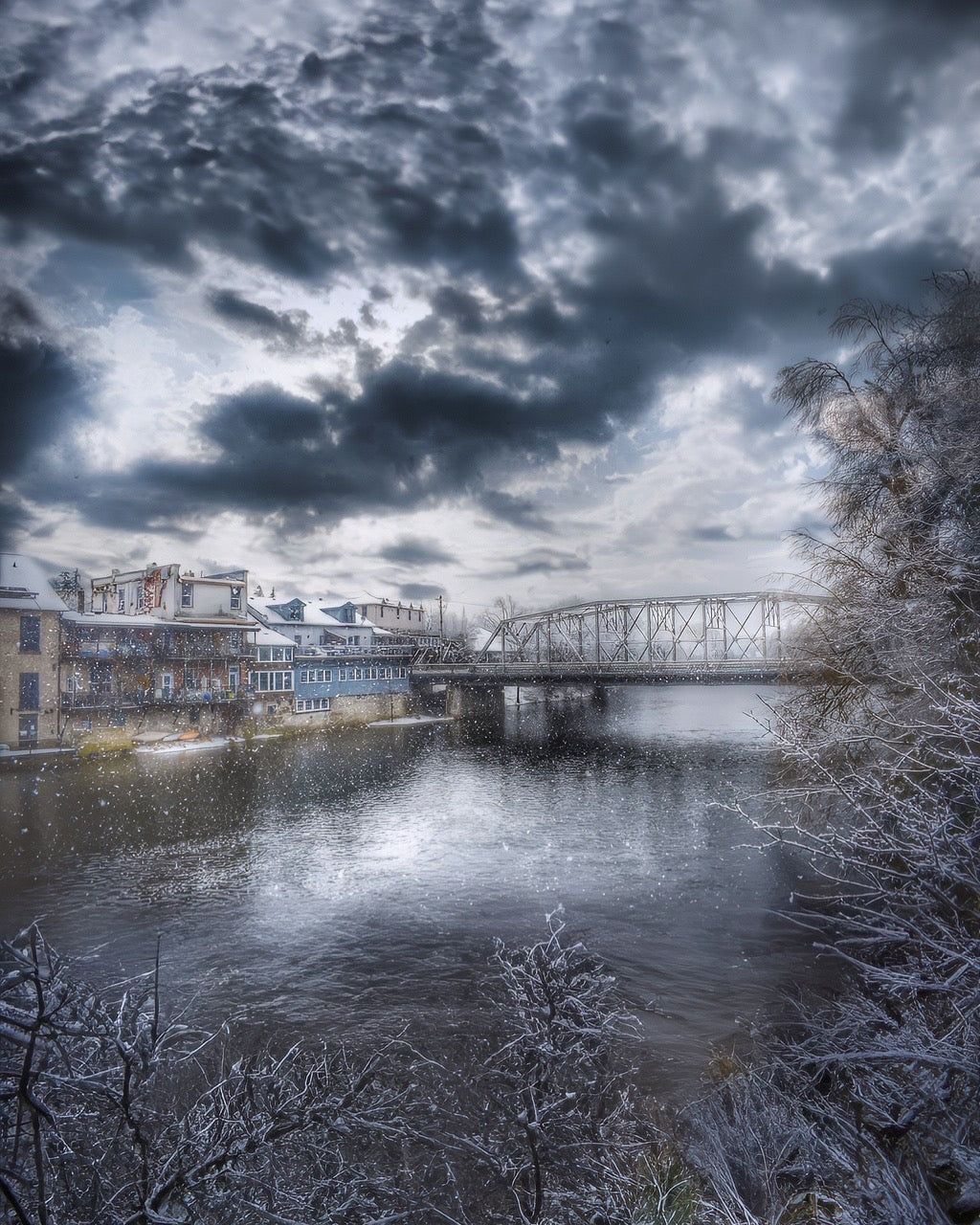 Snowy Elora