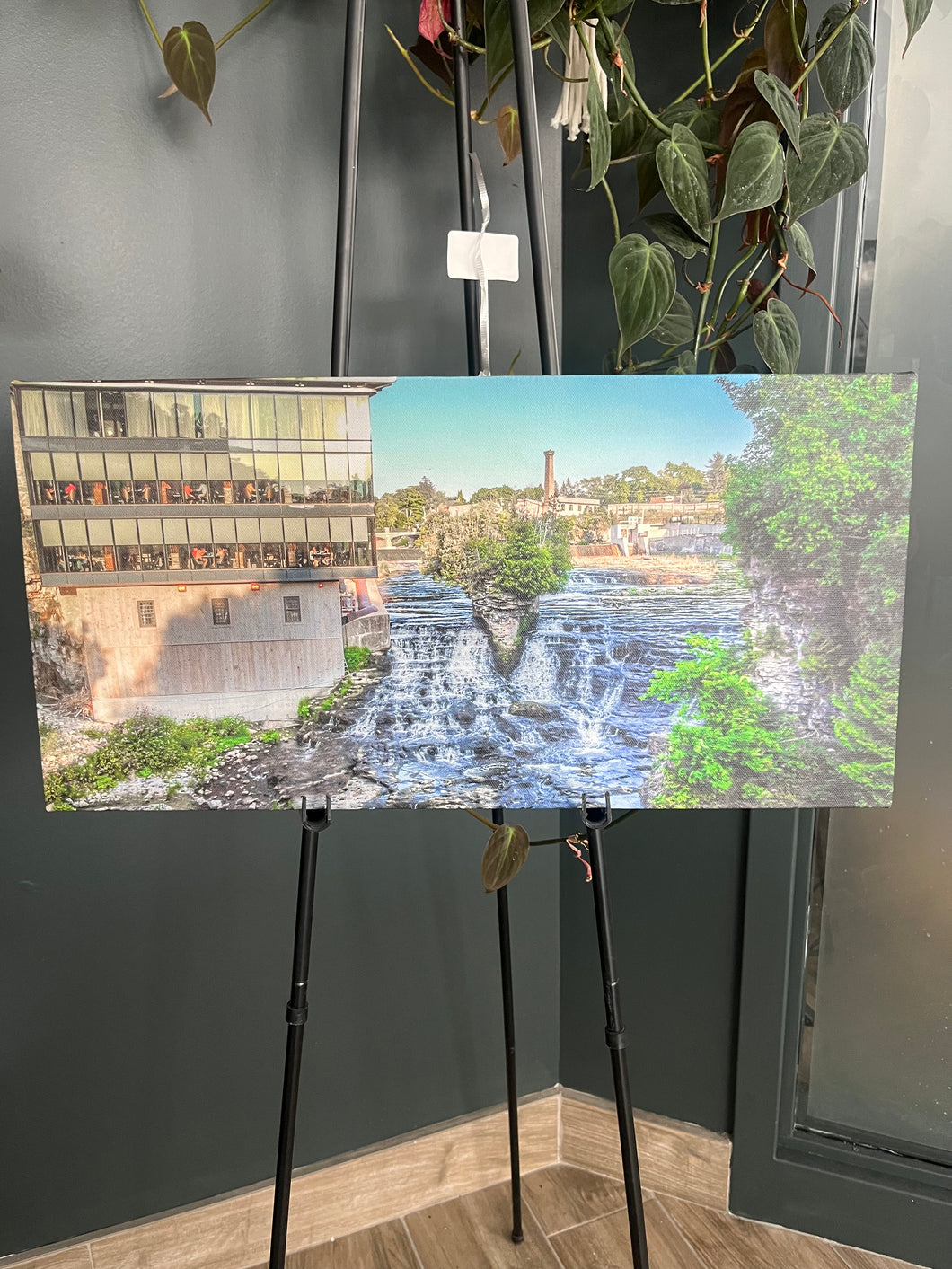 Behind the Elora Mill