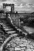 Templin Gardens