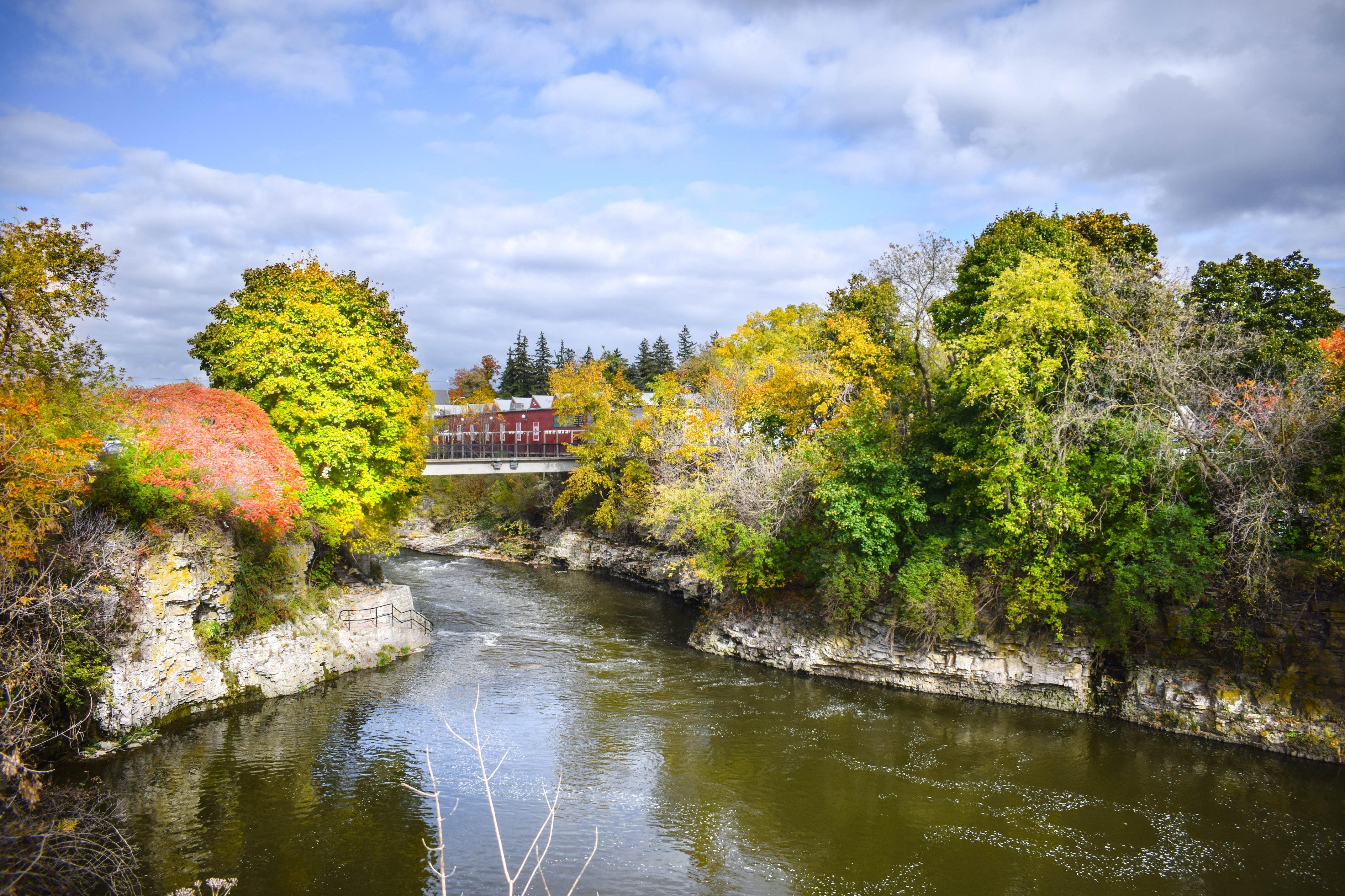 Templin Gardens