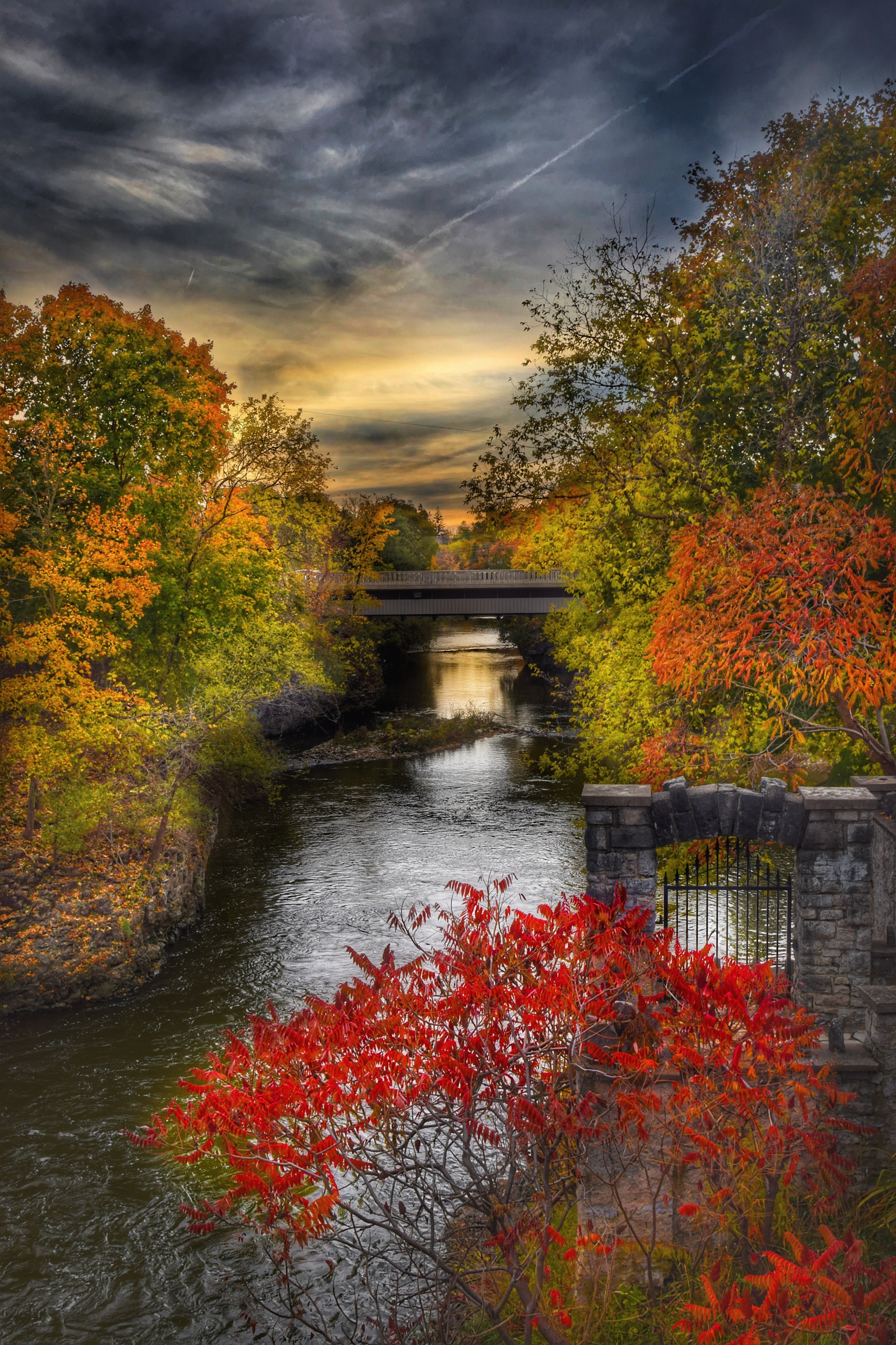 Templin Gardens