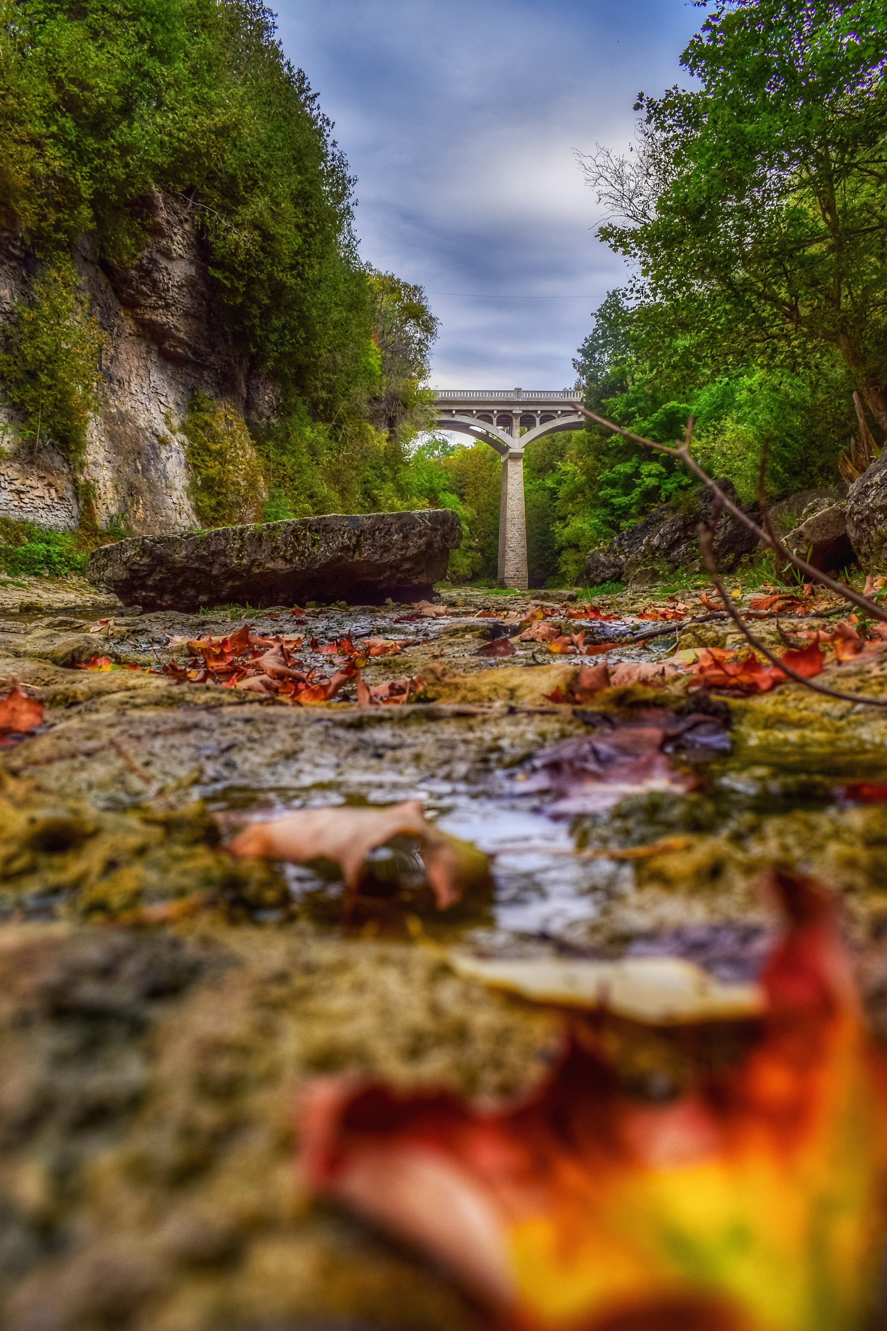 David Street Bridge in the Fall
