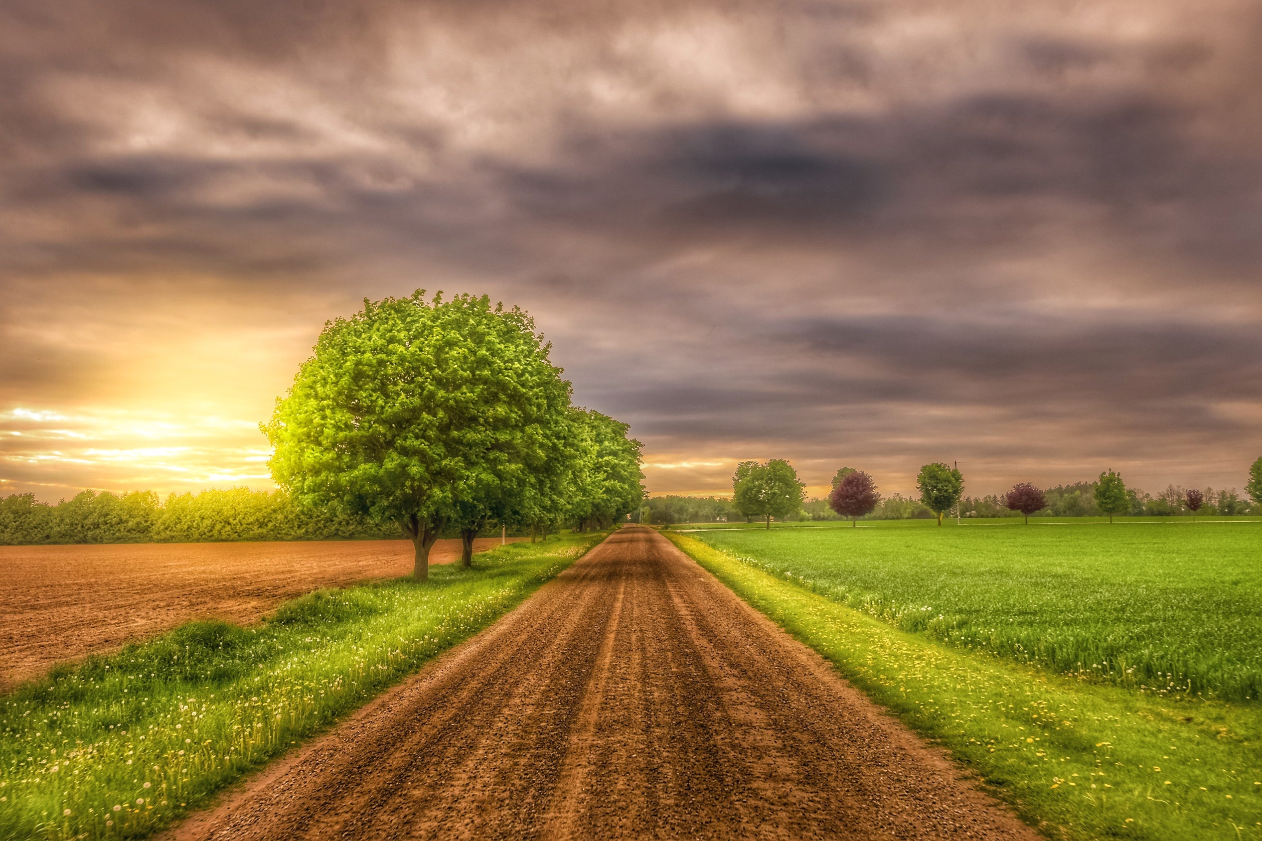 Backroad Sunset
