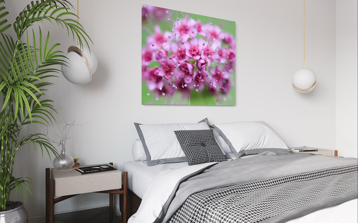 Pink flowers