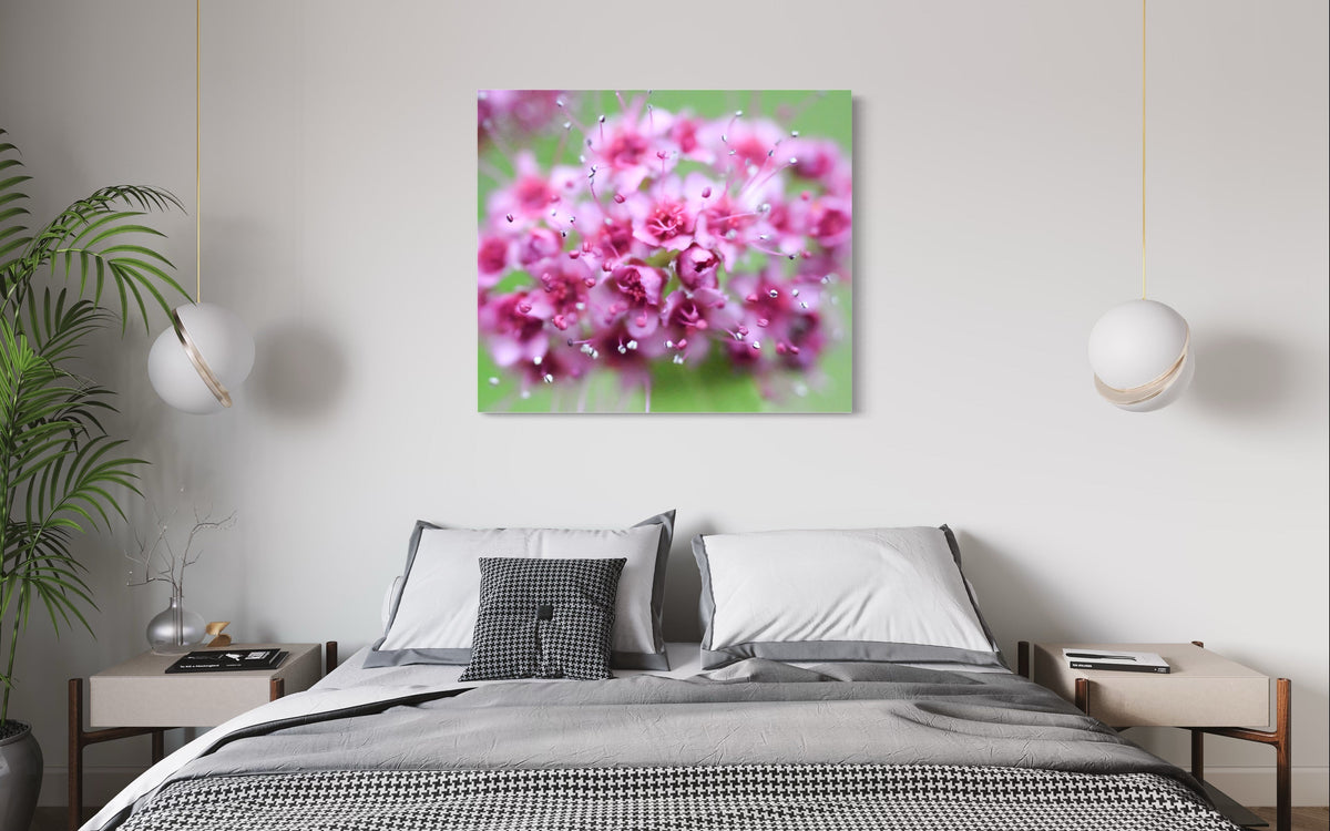 Pink flowers