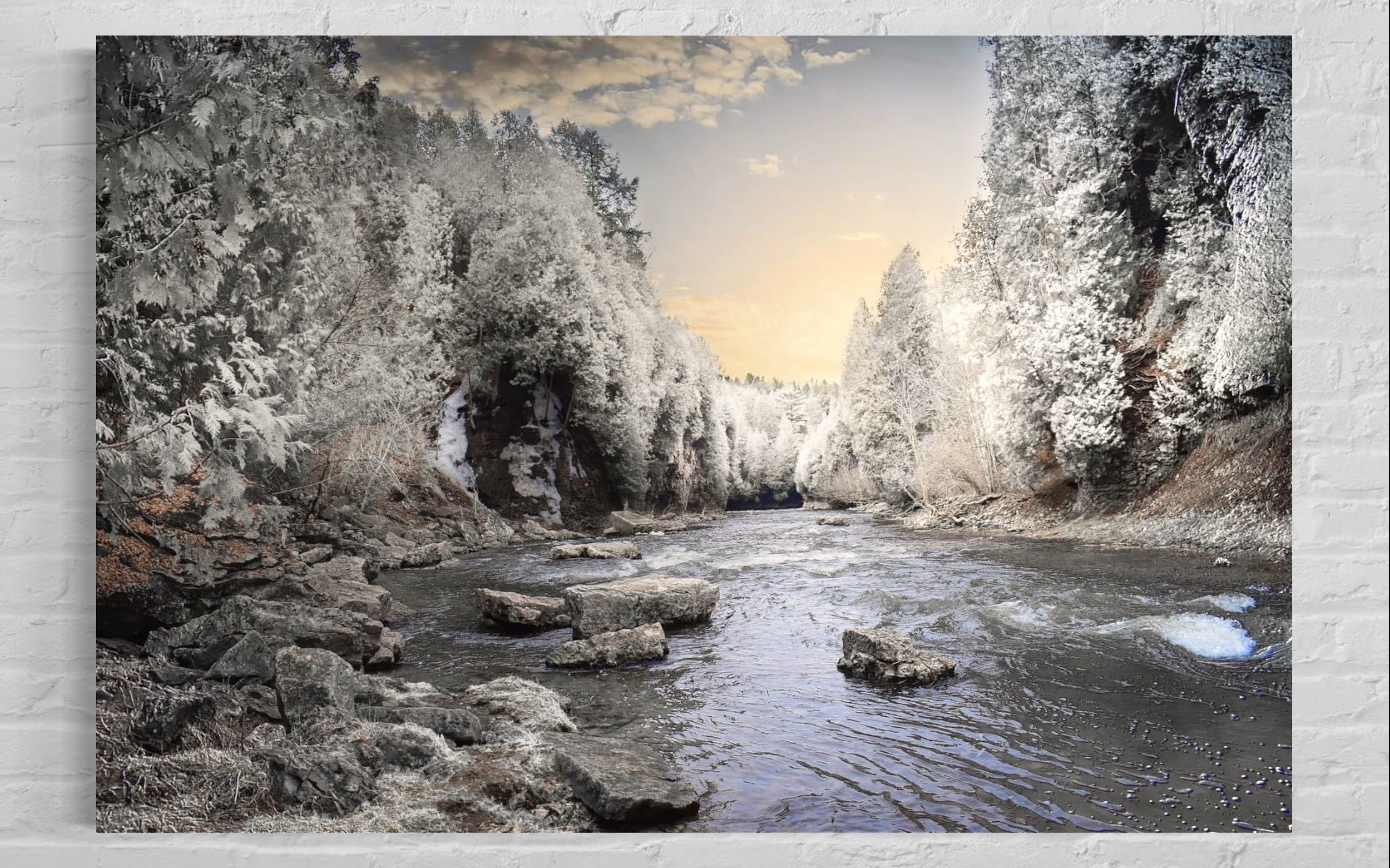 Elora gorge in the winter