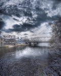 Snowy Elora