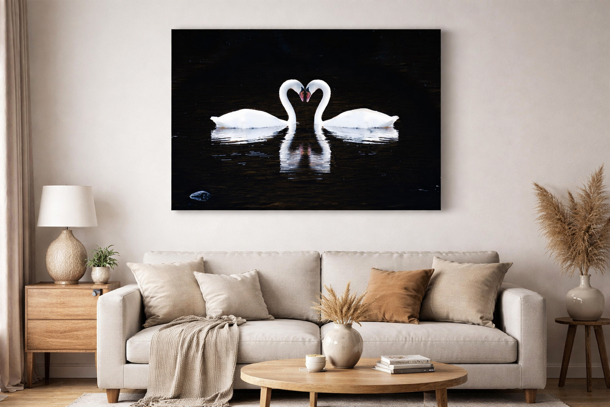 Elora Swans