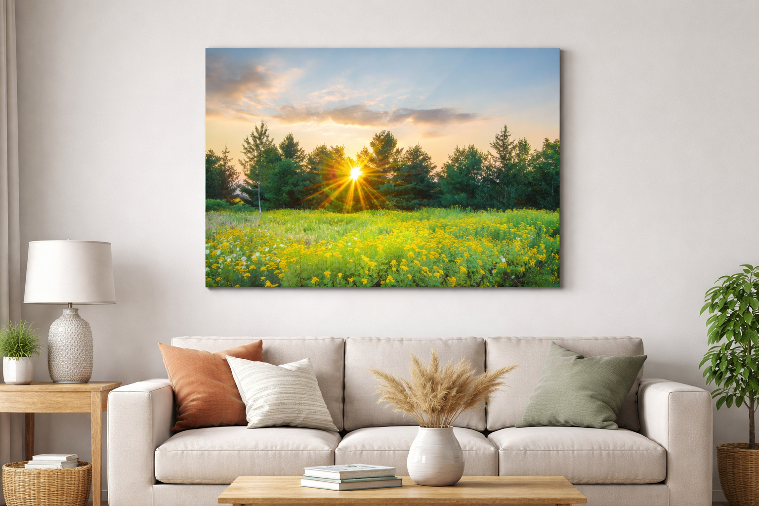 Field Sunset