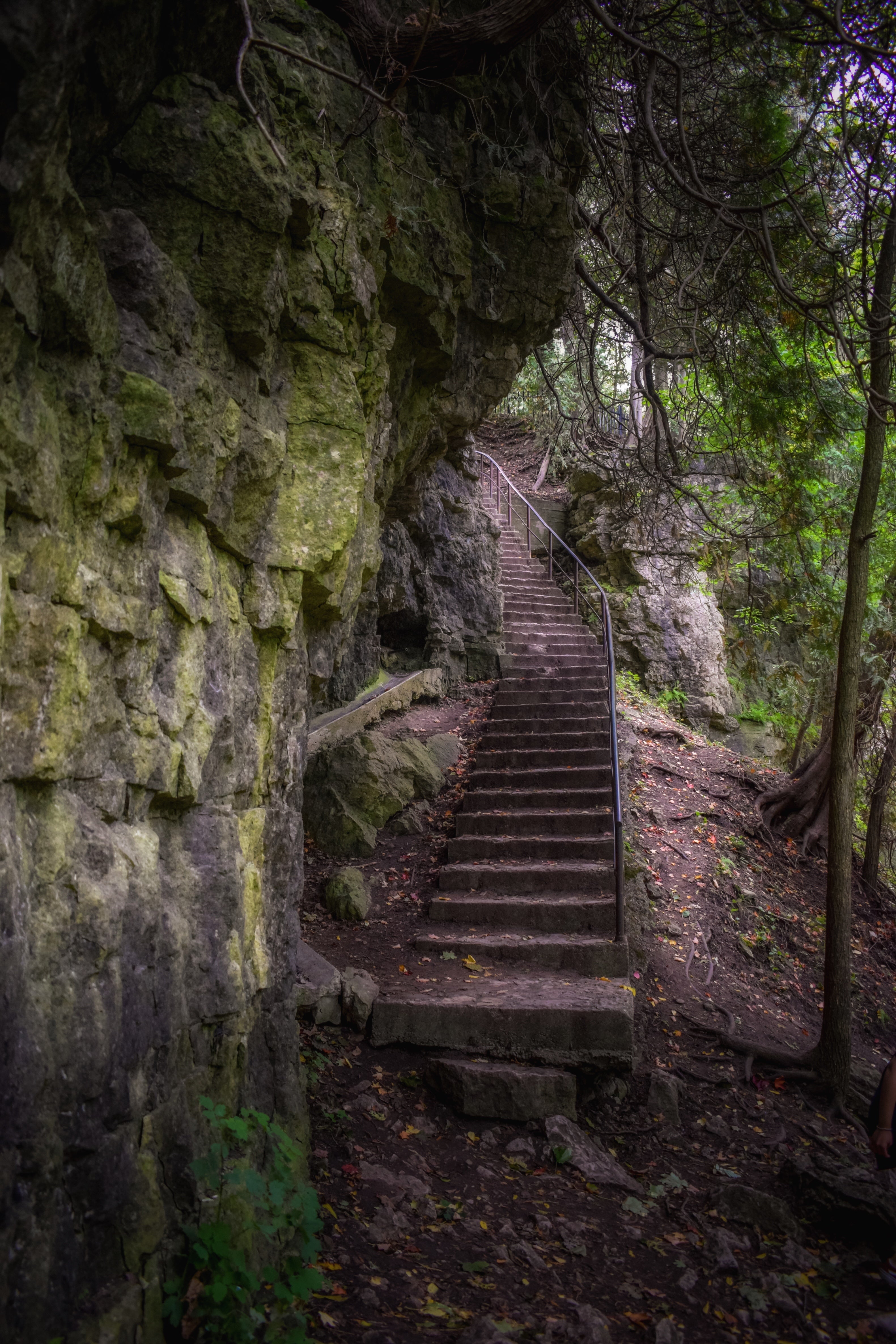 Stairs to a View