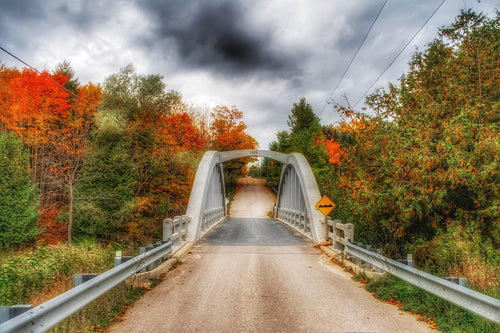 Irvine Bridge in the Fall