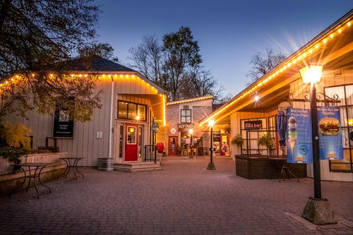 Elora Muse Lights