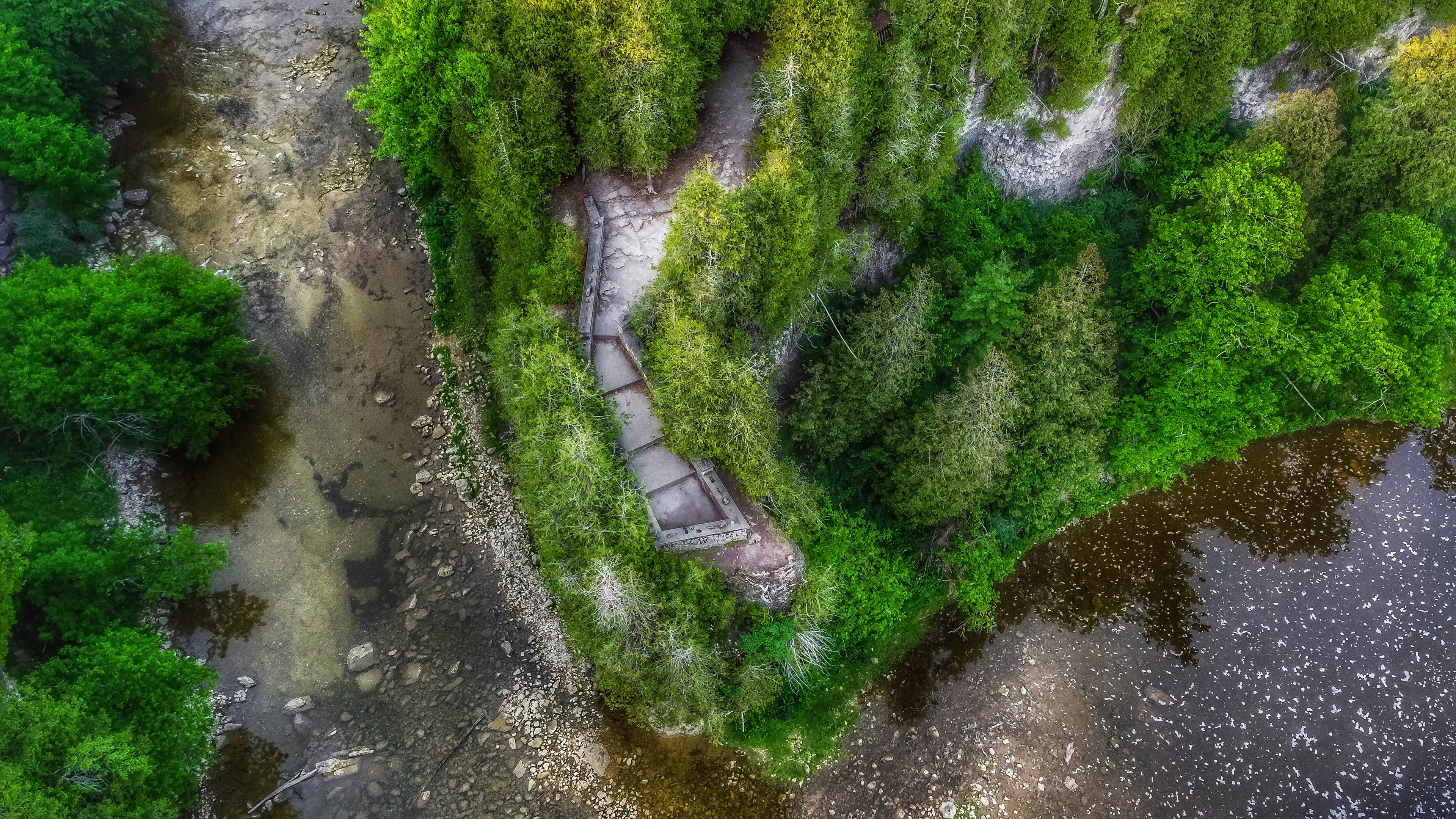 Lovers Leap from Above