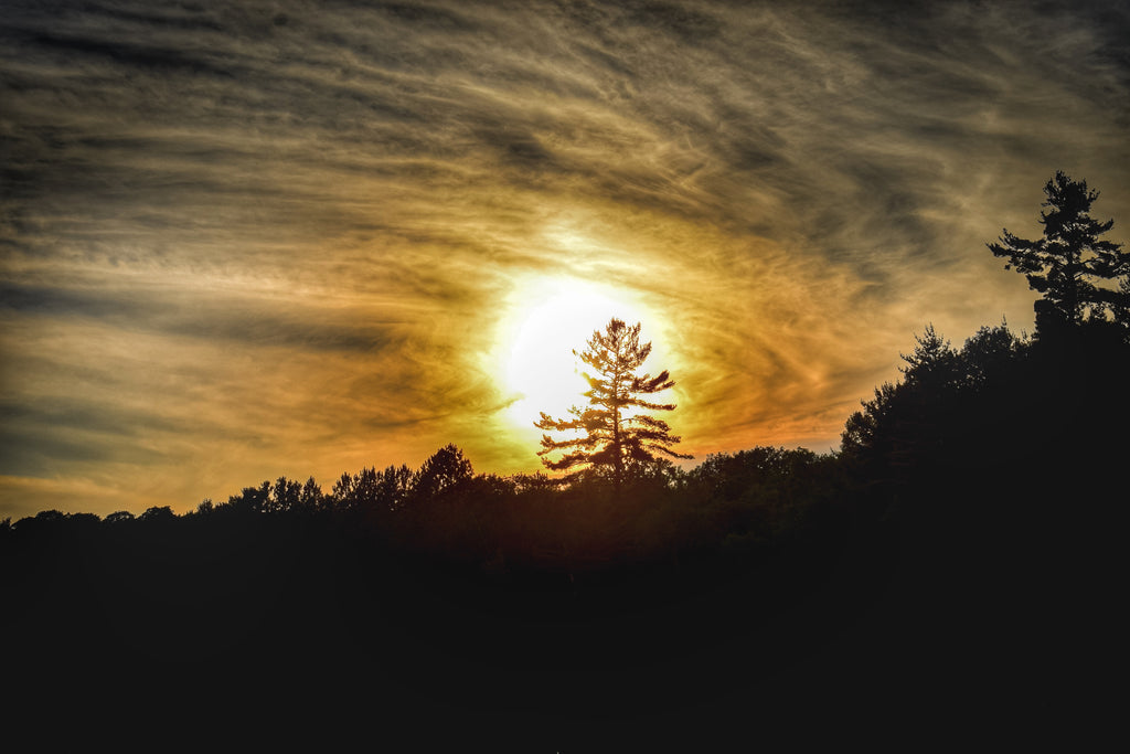 Muskoka Sunset