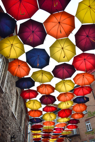 Umbrella street in Quebec