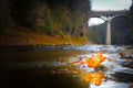 David Street Bridge in the Fall