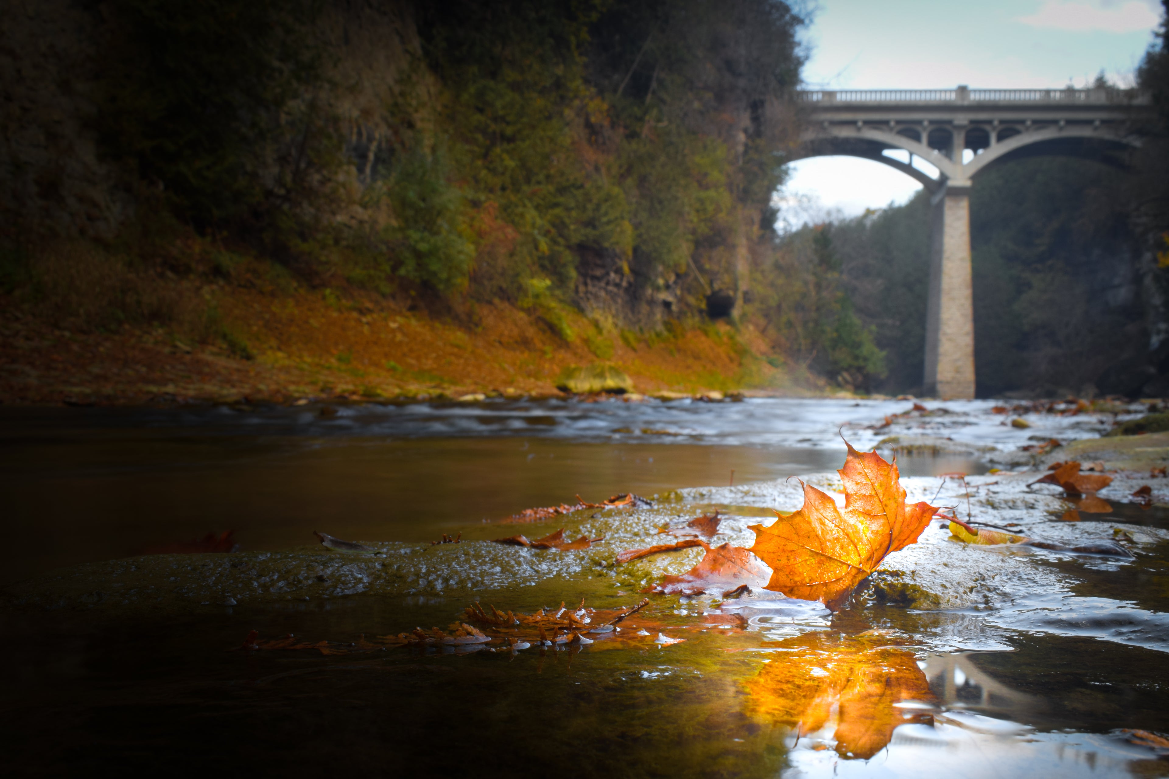 David Street Bridge in the Fall