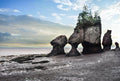 Hopewell Rocks