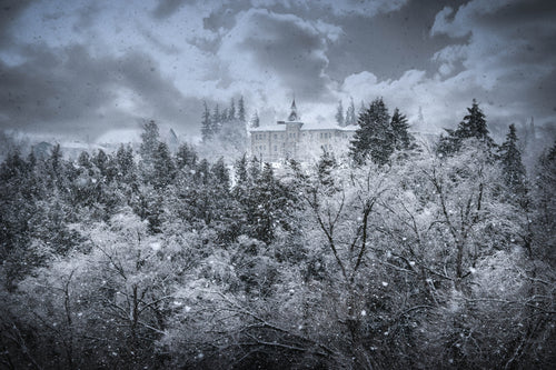 Winter Storm - Wellington County Museum