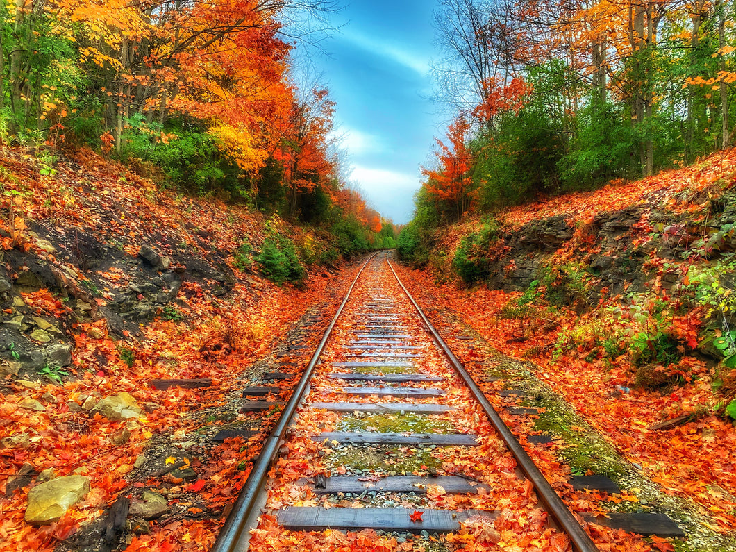 Fall Tracks