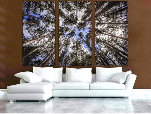 Muskoka Trees on Split Canvas