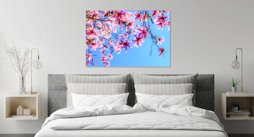 Magnolia Tree