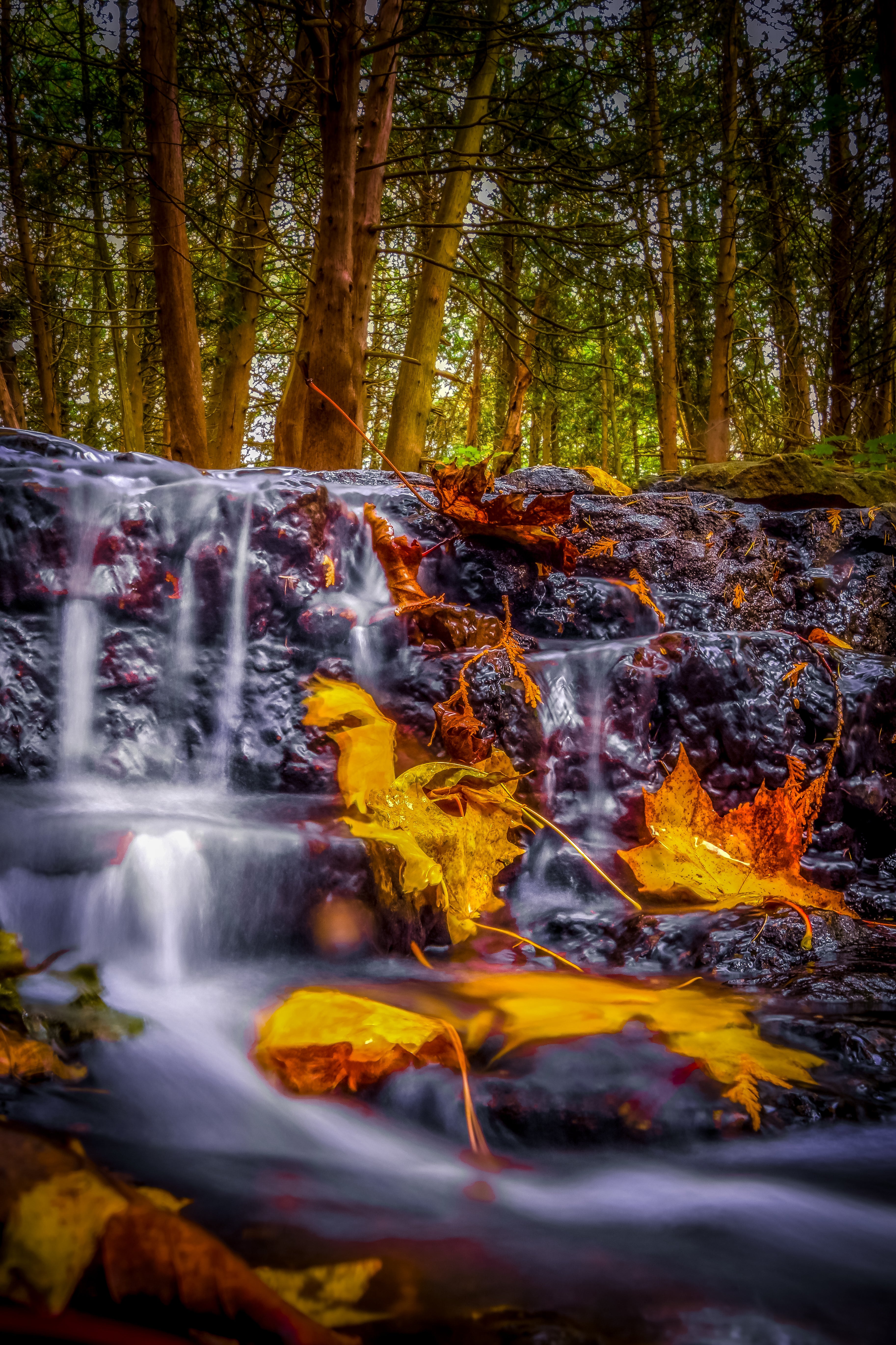 Long Exposure Waterfalls