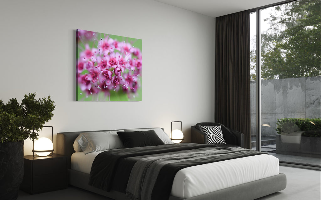 Pink flowers