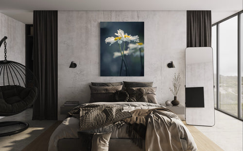 Daisies