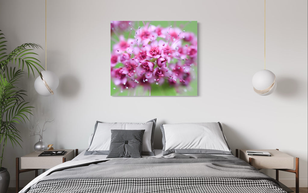 Pink flowers