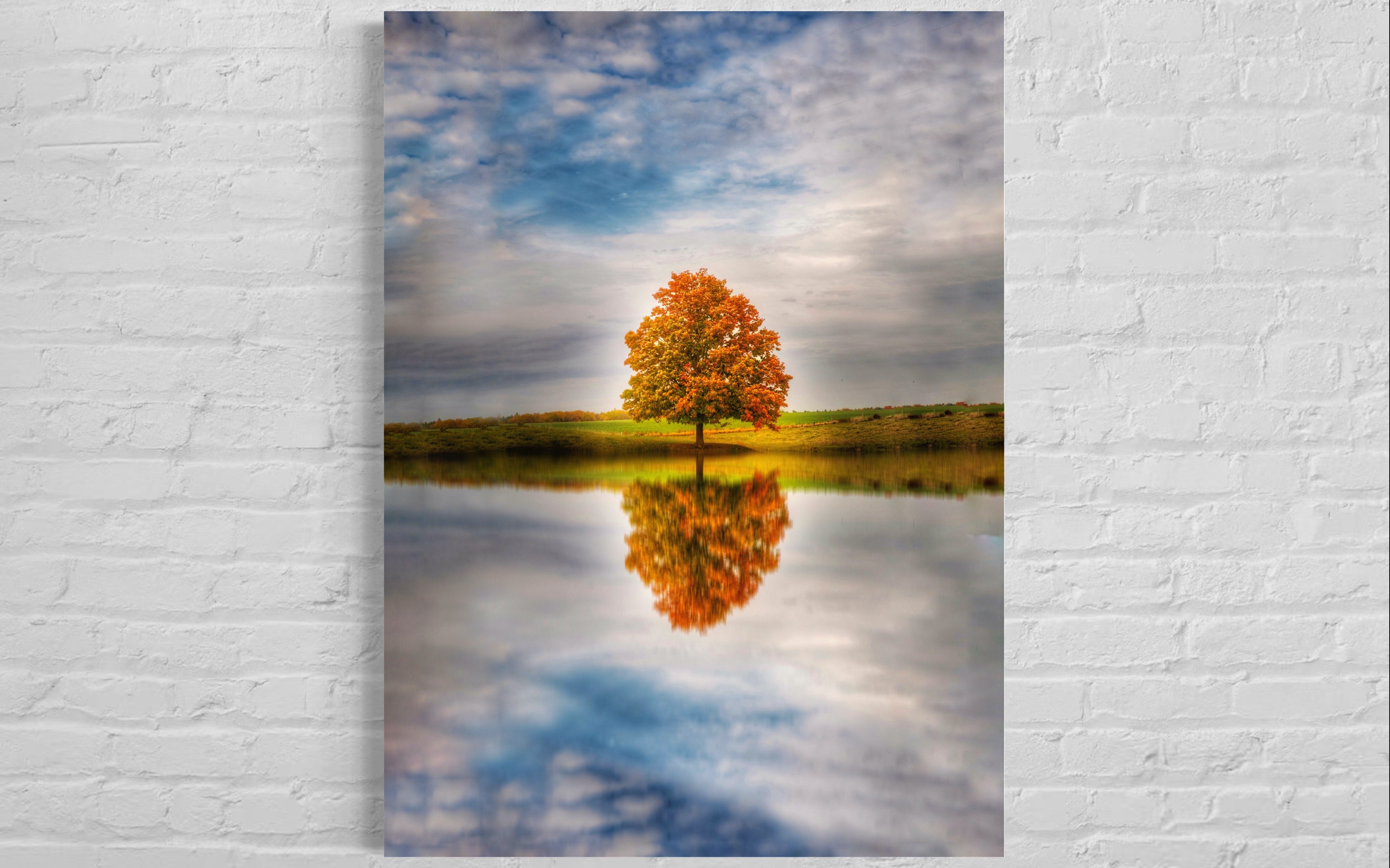 Fall tree reflection