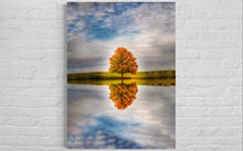 Fall tree reflection
