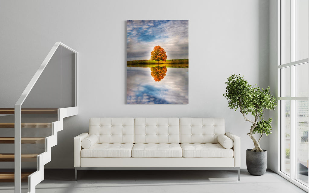 Fall tree reflection