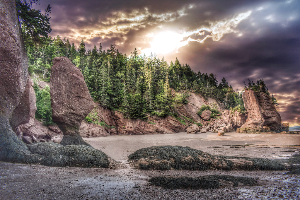 Bay of Fundy